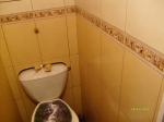 плитка в туалете )